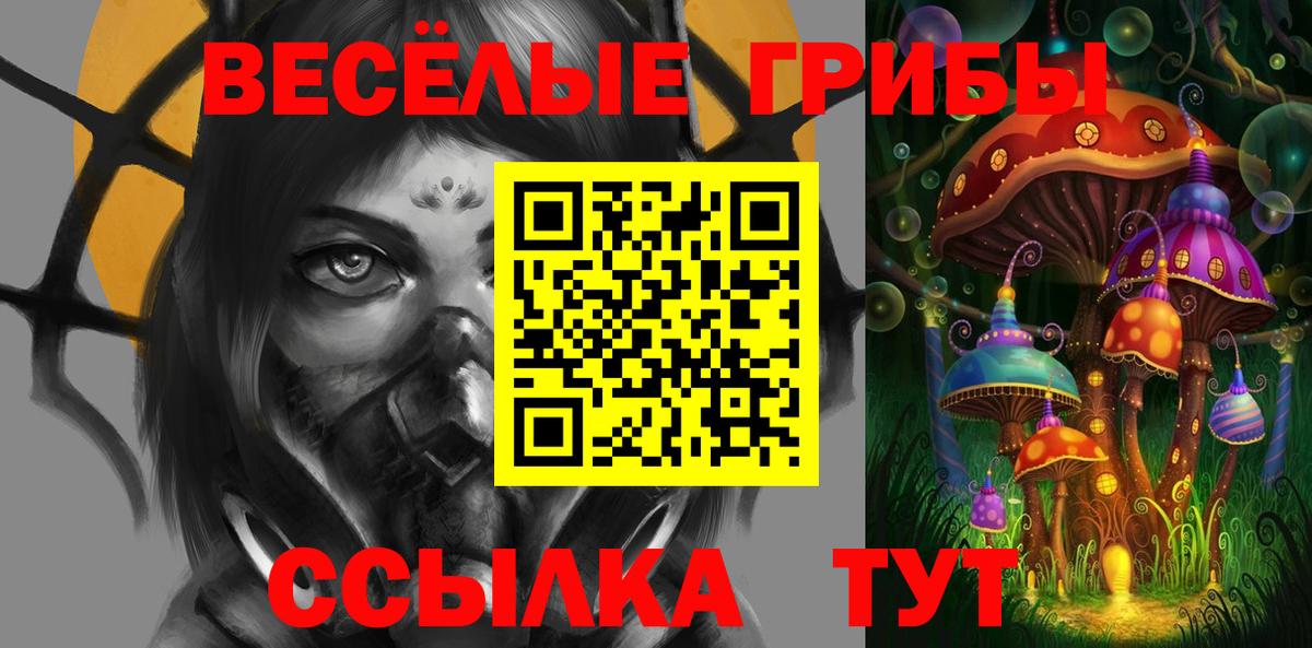 сколько стоит  Вход с VPN  Нарткала  Псилоцибиновые грибы MAGIC MUSHROOMS  Галлюциногенные грибы Psilocybe 