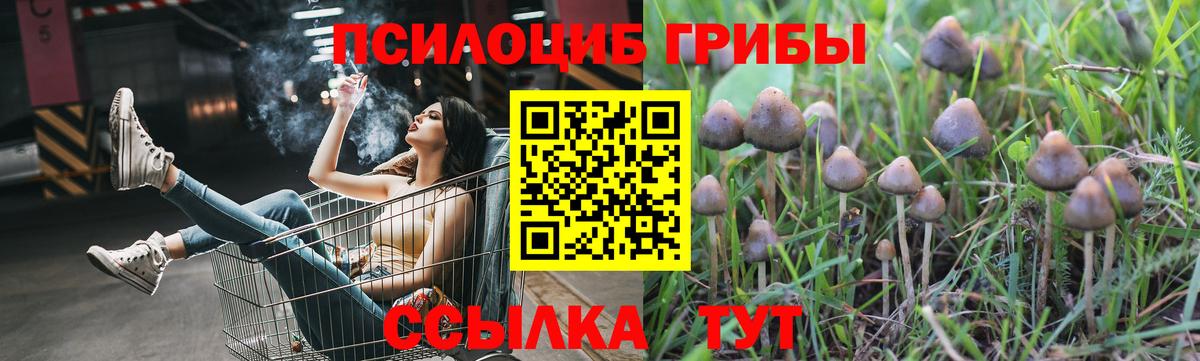 Галлюциногенные грибы Magic Shrooms Нарткала